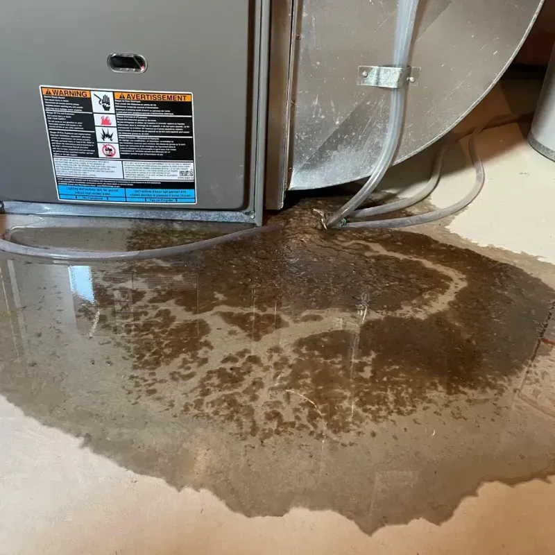 Appliance Leak Cleanup in Galena, MO